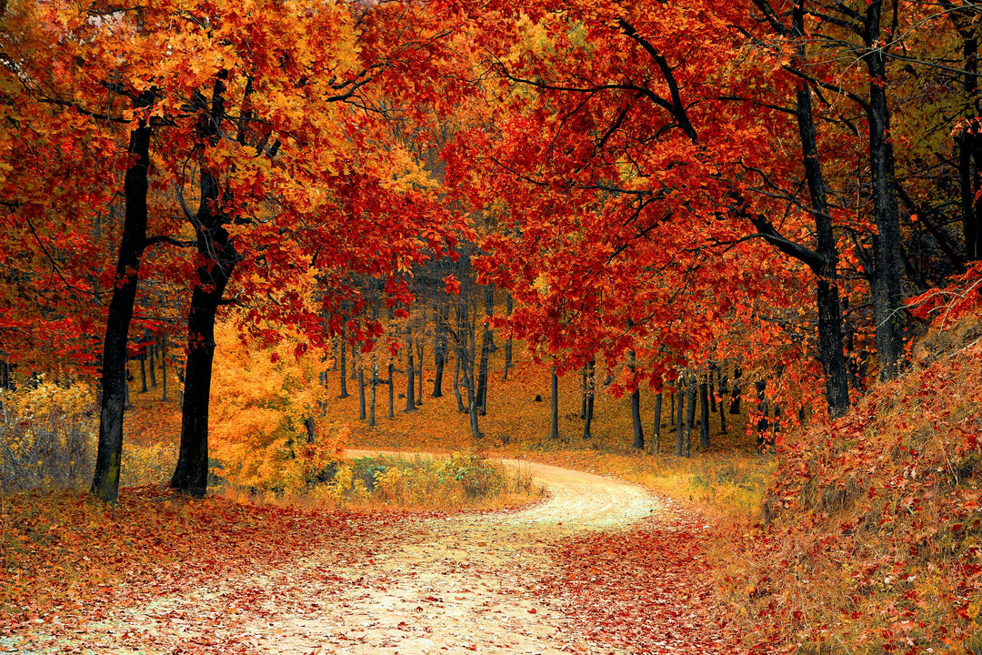 Fall Is Actually the Best Season for Outdoor Play